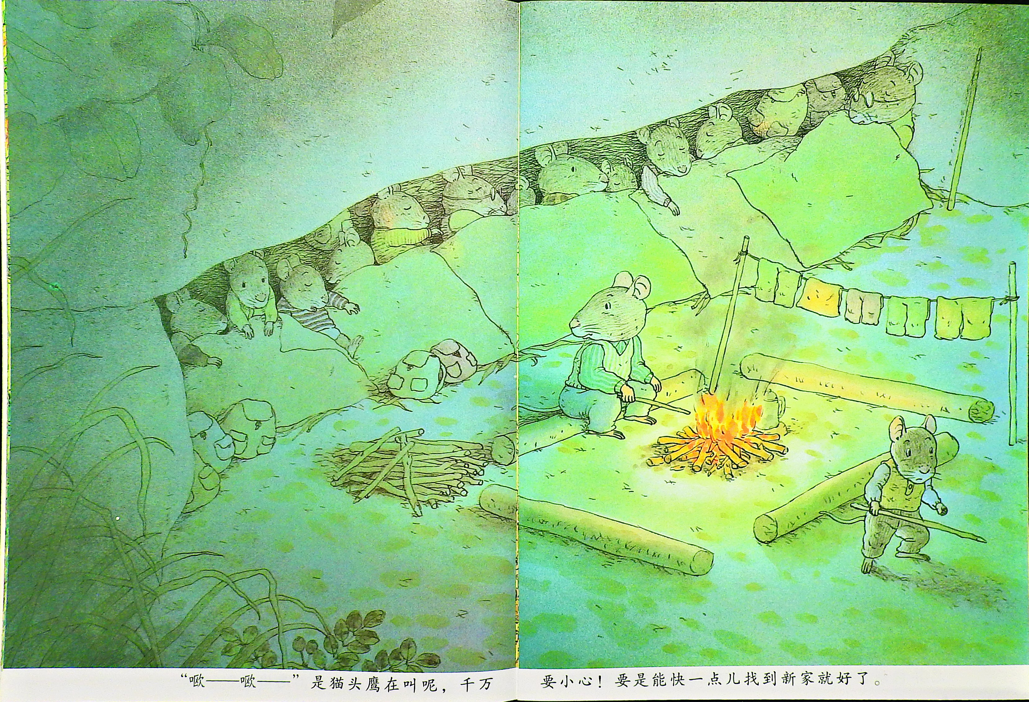 14只老鼠大搬家 (07),绘本,绘本故事,绘本阅读,故事书,童书,图画书,课外阅读